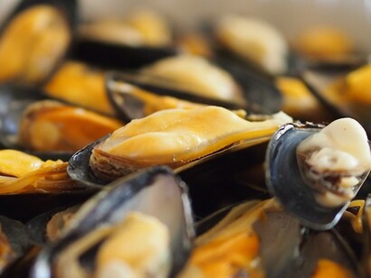 Mejillones