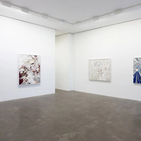 Ryan Wallace, Second skin, exhibition view. Courtesy of Susan Inglett Gallery