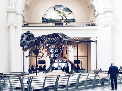 Visitare un museo 