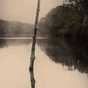 Sally Mann: A Thousand Crossings. Courtesy of The Museum of Fine Arts