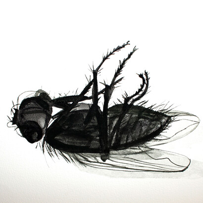 Paula Pohli, Unforgettable Fly tempera