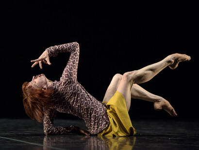 La curiosità di capire