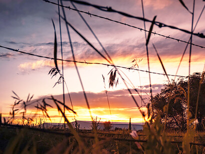 Il Cinema dei Diritti Umani come antidoto all’indifferenza