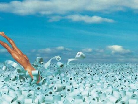Imagen promocional de papel higiénico Renova