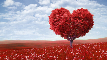 Il logo de "le amiche preziose"