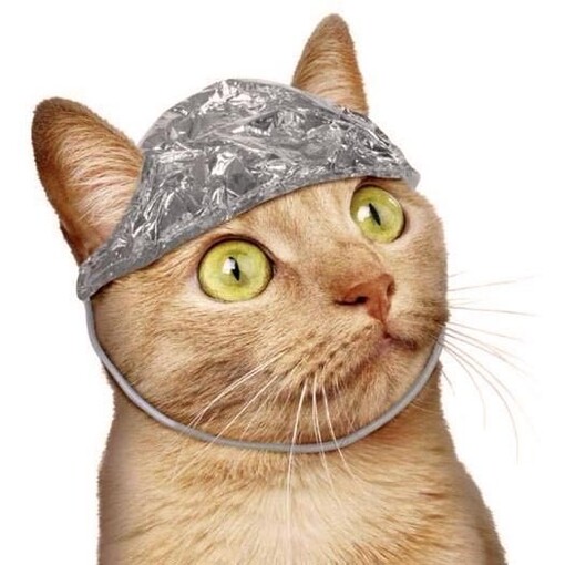 Un gato naranja con un gorro de papel de aluminio