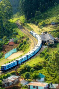 Ho sempre amato i viaggi in treno. C'è qualcosa nel movimento costante e nel paesaggio in continua evoluzione che mi fa sentire vivo