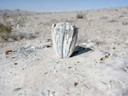 Alexa Hoyer, Book, 2015 - Archival Pigmented Print, 24 x 30 inches
