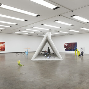 Guan Xiao, Teenager, exhibition view. Courtesy of Kunsthalle Wien