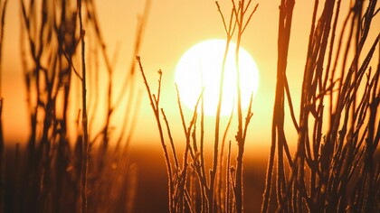 El Sol, fuente de vida y calor