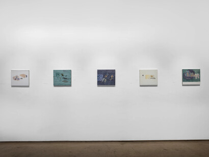  Shikh Sabbir Alam, বনমানুষ, bon-manush, exhibition view. Courtesy of Experimenter
