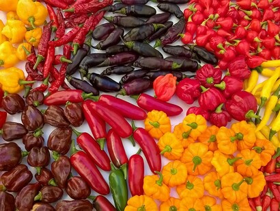 Peperoncini e melanzane, natura – calda