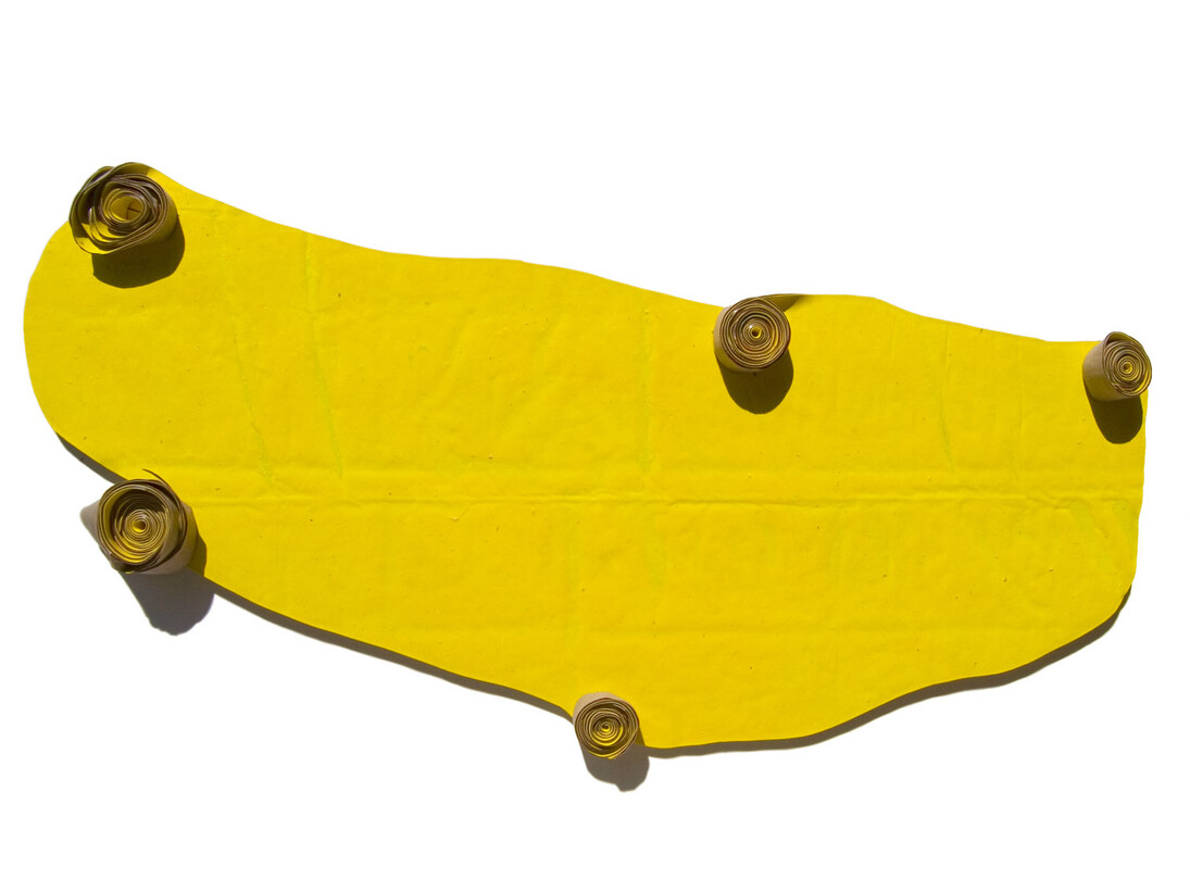 Group Show, Els cinc sentits (Xavier Escribà), 2011, acrílico sobre tela, 275x115x14 cm
