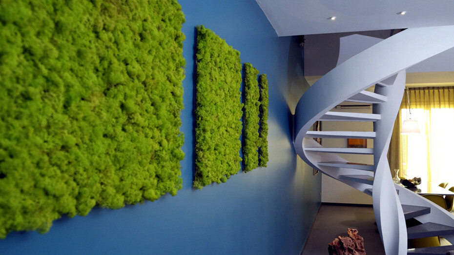Green shapes with the view on the staircase. Photo by Giuseppe Fricano
