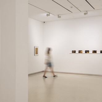 Anna Cabrera and Ángel Albarrán, Ventanas a lo insólito, exhibition view. Courtesy of Galería Elvira González