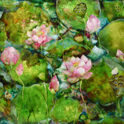 Lotus Pond I, Bintan, Indonesia 78x103, 1995. Courtesy of Gallery Ffin y Parc