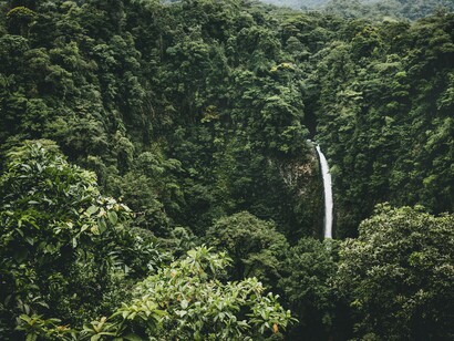 Ecología y esperanza