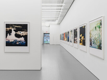 François Halard, Conversation with Claude, exhibition view. Courtesy of Ruttkowski;68