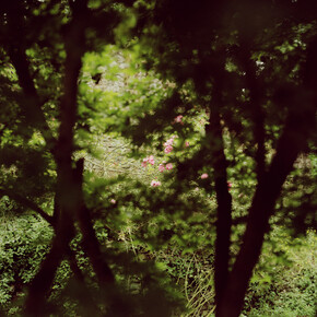 Elger Esser, Artouan I, Frankreich 2014, Mixed media silver plat - directprint, copper plate, silver-coated, baseboard, makassar ebony, 70,5 x 88 x 12 cm, Unique copy, Courtesty: Galerie Thaddaeus Ropac Paris/Salzburg © Elger Esser