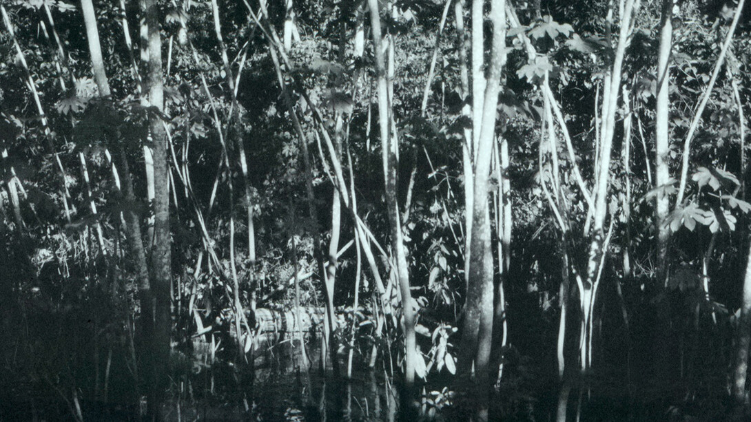 Luzia Simons. Courtesy of Circle Culture Gallery