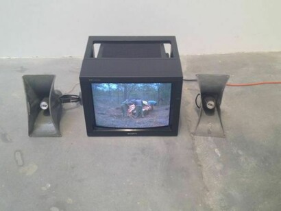 Dominic Nurre, Conservative Video Work: Giacometti's Elephant_, 2009-2013