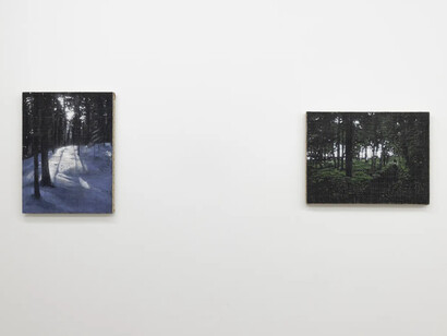 Jasmin Bilodeau, exhibition view. Courtesy of Clint Roenisch Gallery