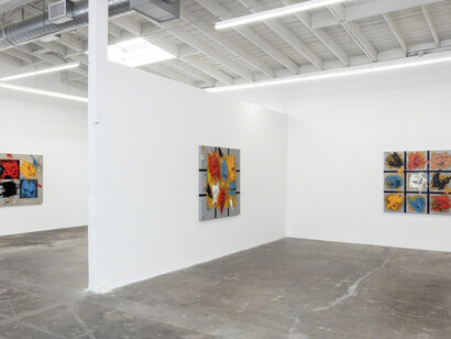 Territorios y Mapas. Courtesy of Baert Gallery