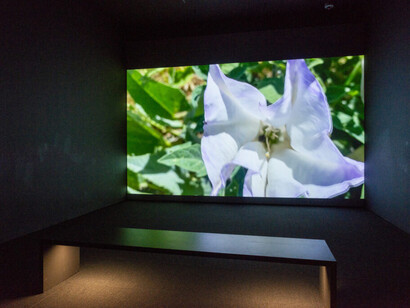 Various artists, Don’t wait for me, just tell me where you’re going, exhibition view. Courtesy of The Baltimore Museum of Art