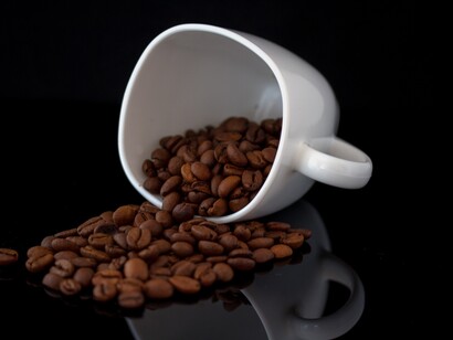 The most commonly utilized coffee shrubs are Coffea Canephora which are known for producing Robusta coffee