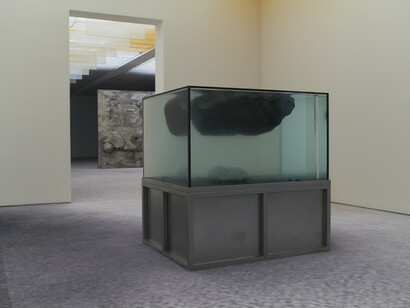 Pierre Huyghe, exhibition view. Courtesy of Fondation Beyeler
