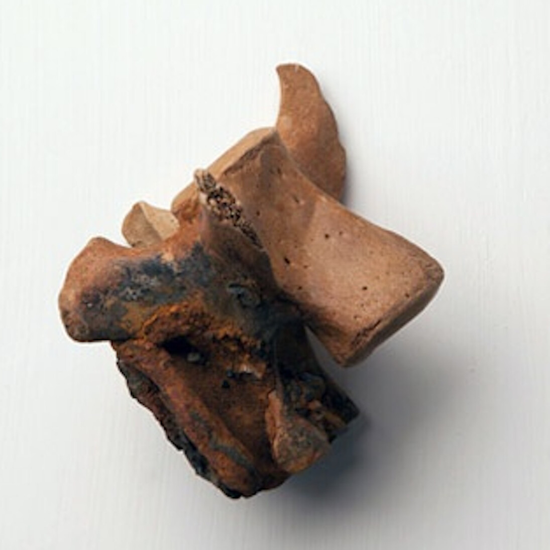 The Darkened Mirror. Courtesy of San Jose Museum of Art