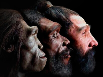 Homo sapiens: la economía de estas gentes tenía una división del trabajo básica, los hombres cazaban y las mujeres recolectaban