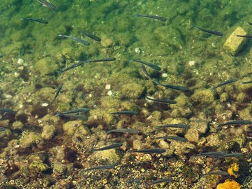 Alcuni luoghi non aspettano il nostro ritorno. L'acqua scorre, i ricordi restano