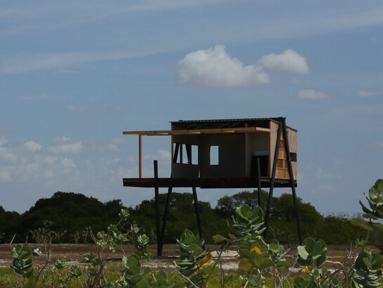 “Amazonia: relatos de abundancia”, Sergio Racanati, 2026, Production image per il film essay, vincitore dell'Italian Council, edizione XIV, promosso dalla Direzione Generale Creatività Contemporanea, Ministero della Cultura, courtesy Sergio Racanati