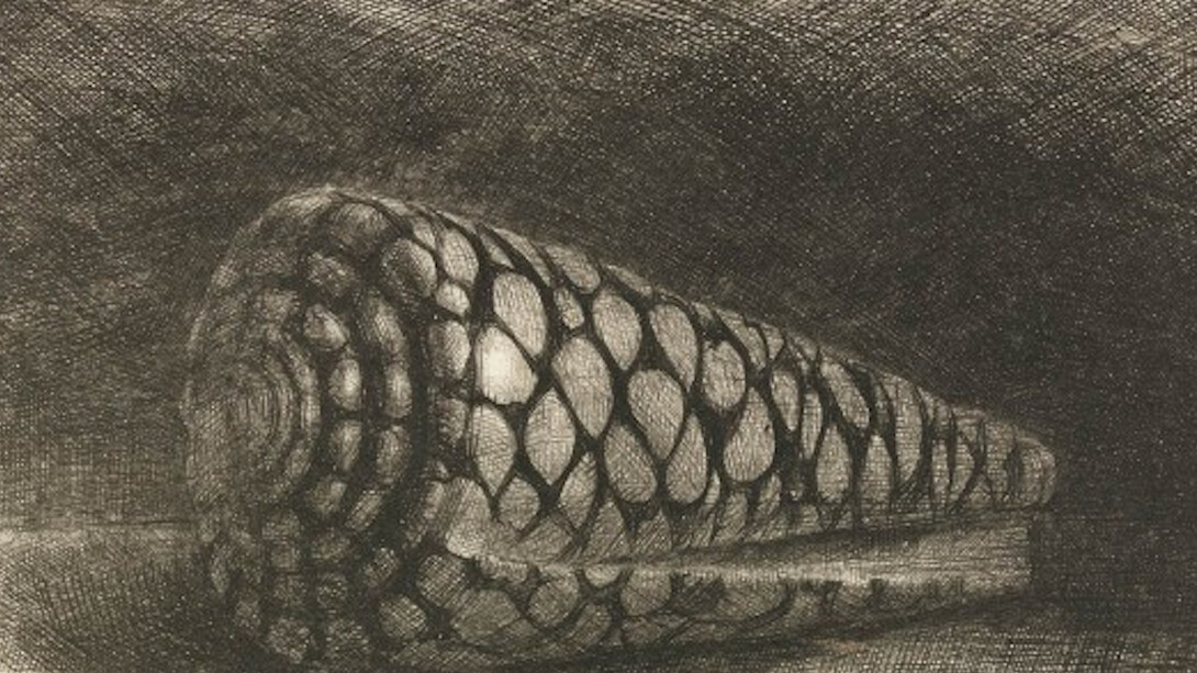 Achenbach Foundation for Graphic Arts. Courtesy of Legion of Honor