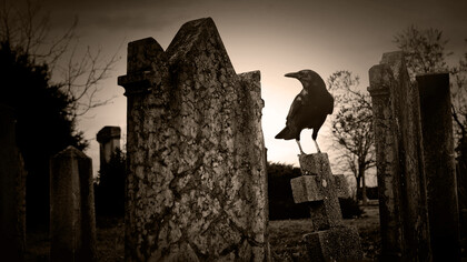 Varios idiomas tienen bonitas expresiones para decir que a veces los cadáveres siguen vivos (Foto: cementerio)