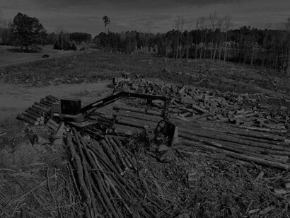 Logging taking place in Chatham County, North Carolina, USA