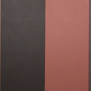 Cassio Michalany. Courtesy of Galeria Raquel Arnaud 