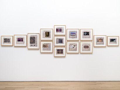 Fred Tomaselli, Installation view