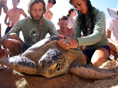 Protección de tortugas en peligro de extinción