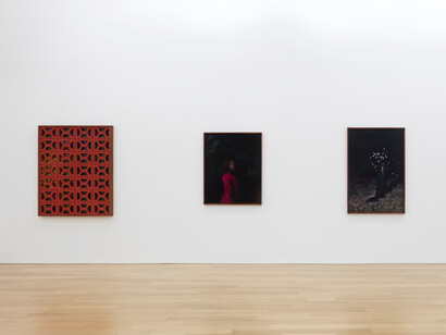 Various artists, Traces of us recent photography, exhibition view. Courtesy of Peter Blum Gallery 