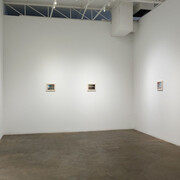 Richard Patterson, Nature paintings, exhibition view. Courtesy of Cris Worley Gallery