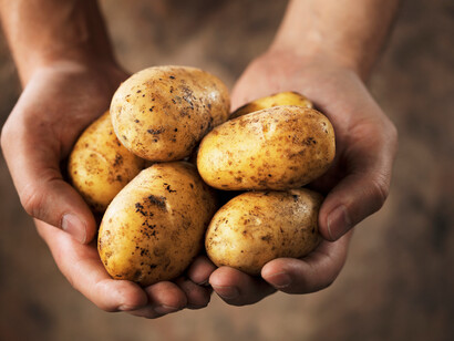 Patatas: otro ingrediente básico del cocido