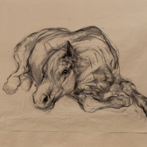 Nicola Hicks, Untitled (Horse lying down), 2014, charcoal on paper, © Nicola Hicks, Courtesy of Flowers Gallery