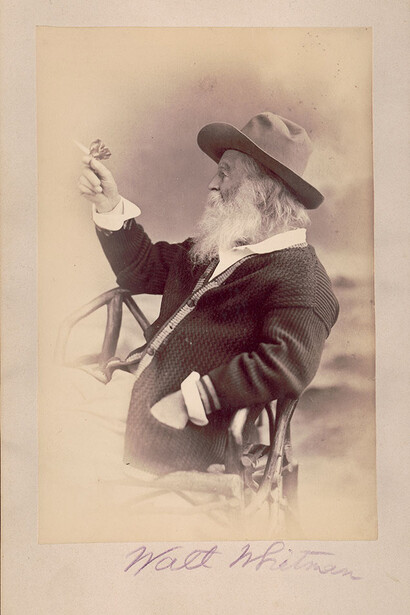 Walt Whitman. Courtesy of Morgan Museum