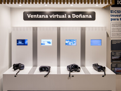 Virtual Window To Doñana. Courtesy of Casa de la Ciencia