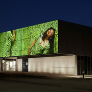 Ayana Evans, Teaser, exhibition view. Courtesy of CAM