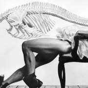 Victor Grasso, "The Dolphin"(Study), graphite on paper, 14 x 22.5". Courtesy of Parlor Gallery