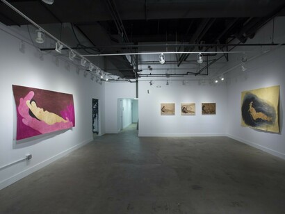 Hiba Schahbaz. Self Portraits, Exhibition view. Courtesy of Project For Empty Space