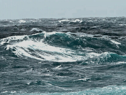 Corrientes marinas. La temperatura, la salinidad, el oxígeno disuelto, el dióxido de carbono, el pH y los nutrientes se modifican a medida que las aguas oceánicas se mezclan e interactúan con la tierra y la atmósfera